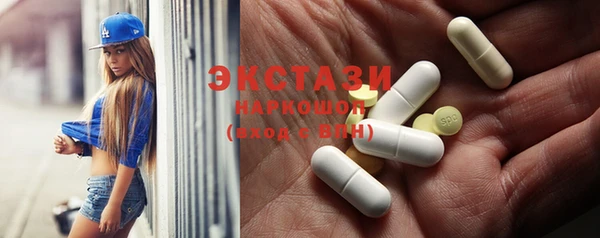 индика Аркадак