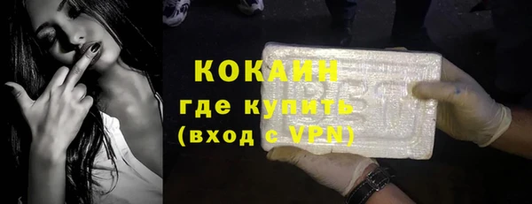 индика Аркадак