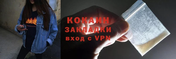 индика Аркадак