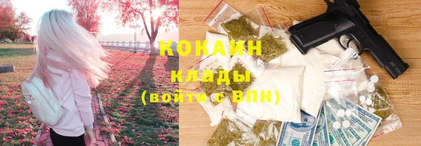индика Аркадак