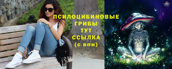 индика Аркадак
