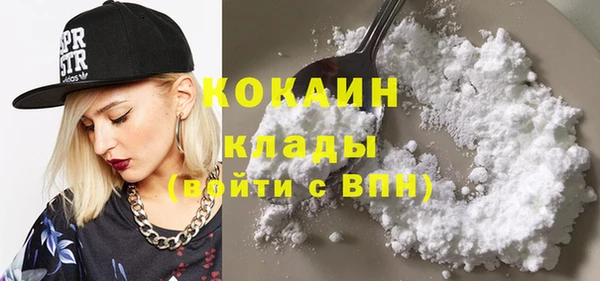 индика Аркадак