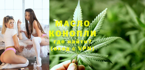 индика Аркадак