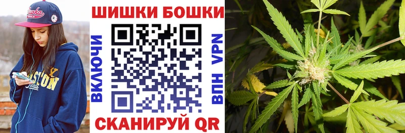Бошки Шишки MAZAR  Багратионовск 